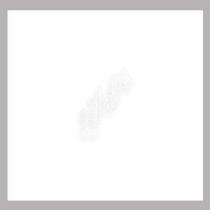 картинка Термопленка FLEX, серия Basic, радужная серебряная, 0.50 х 1 от магазина Каждому Своё